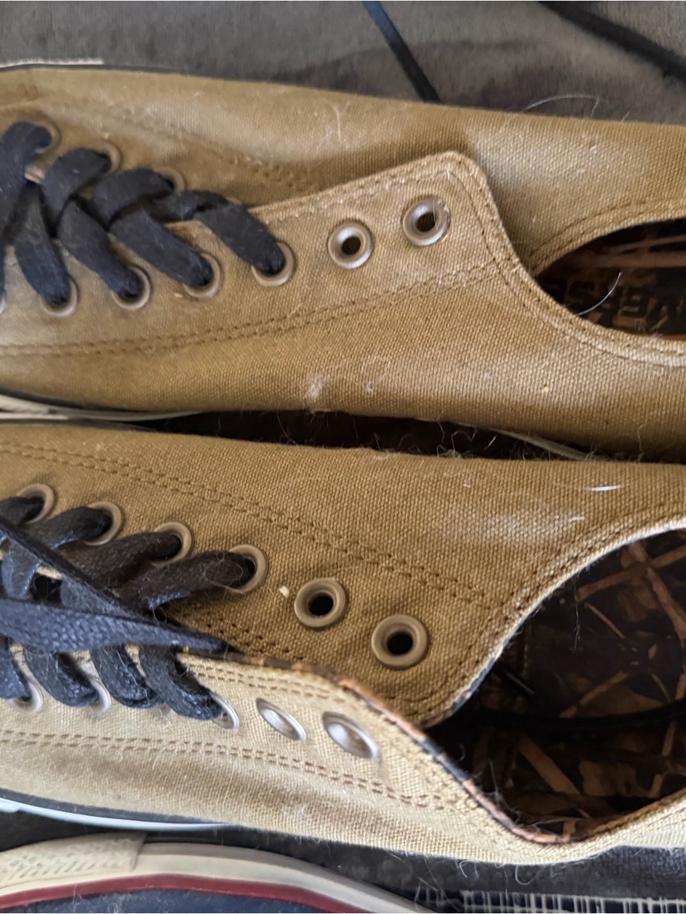 Converse Low-Top Canvas Sneakers in Tan with Black Laces